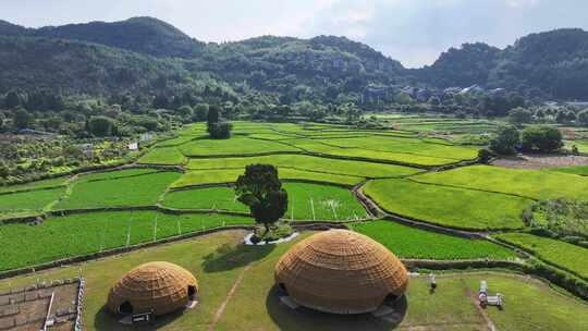 田园风光中特色草屋的俯瞰全景