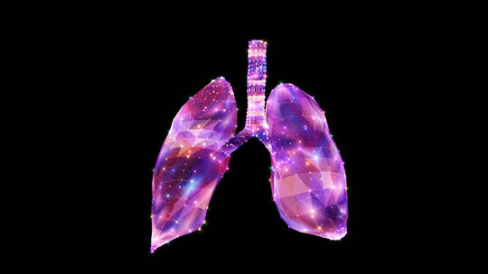 全息粒子肺部