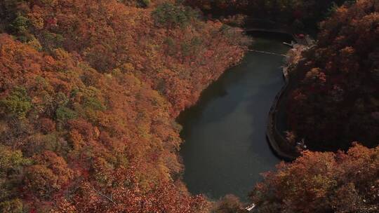 秋季景色