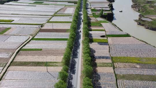 甘南乡间田地航拍（1）