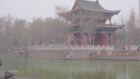 乌鲁木齐人民公园湖心亭雪中鸭子游动视频
