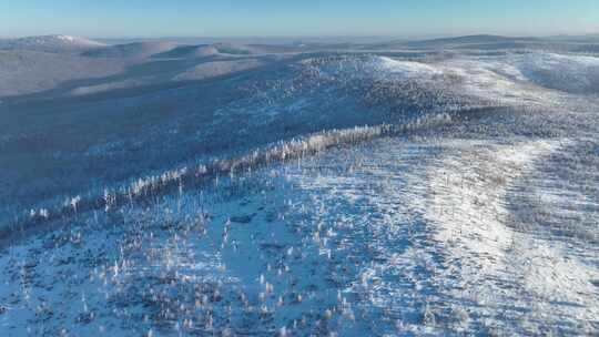 大兴安岭冬季森林雪景