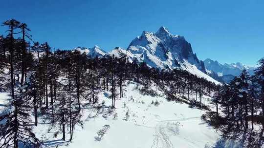 香格里拉德钦县孔雀山雪山