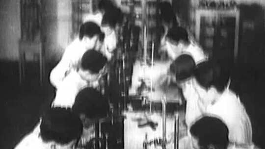 40年代 50年代 60年代医科大学做实验视频素材模板下载