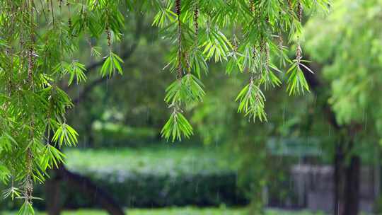 下雨天人撑伞走过的场景