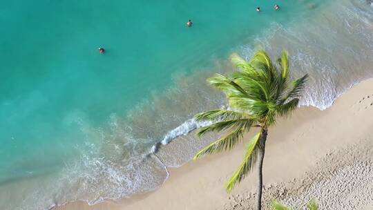 航拍海浪沙滩椰子树
