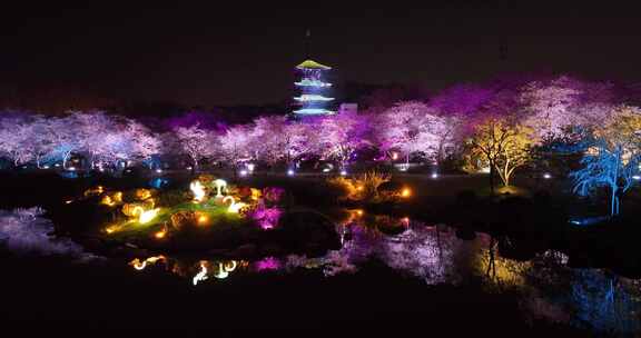 航拍武汉东湖樱花园夜景灯光秀樱花夜樱