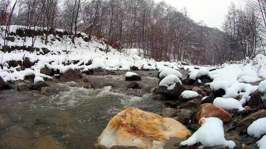 森林里的小溪旁下着小雪