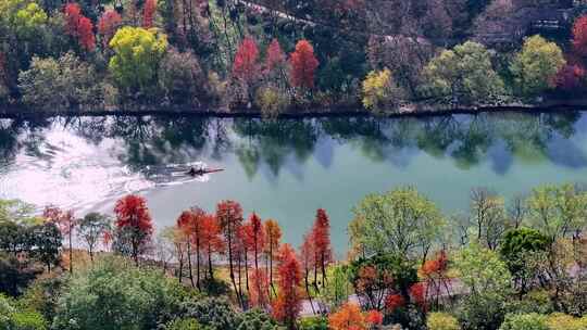 中国杭州西溪湿地河道里的赛艇皮划艇