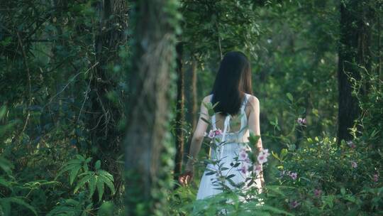 穿白色长裙的女孩在森林行走的背影4k视频视频素材模板下载