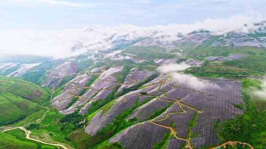 贵州安顺关岭光伏发电场新能源绿色能源