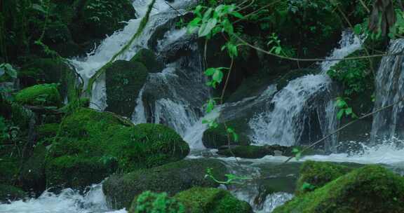 高清实拍小溪流溪水大自然森林