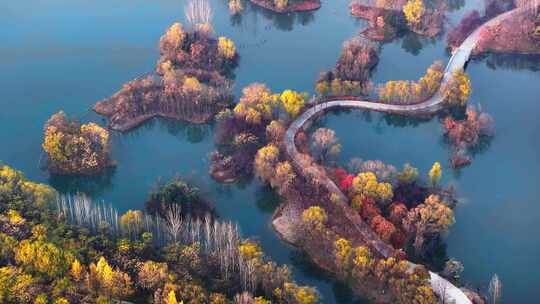 西安浐灞湿地公园秋景视频素材模板下载