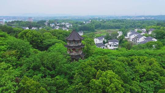 乡村旅游