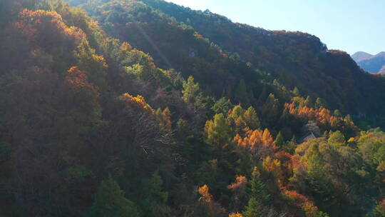 东北秋季山林公路五彩斑斓美丽景色航拍风光