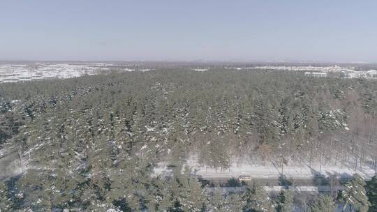 冬季长白山红松原始森林雪景航拍