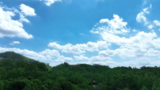 森林蓝天白云树林实拍天空云朵自然生态风光