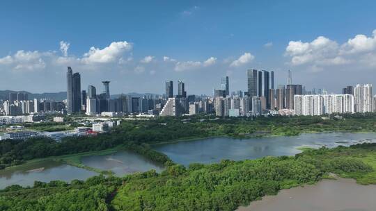 车公庙滨海深圳湾红树林