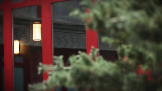 北京国子监古代建筑宫廷庭院古松松树房檐视频素材模板下载