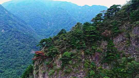 大山绿色树林森林雨林航拍