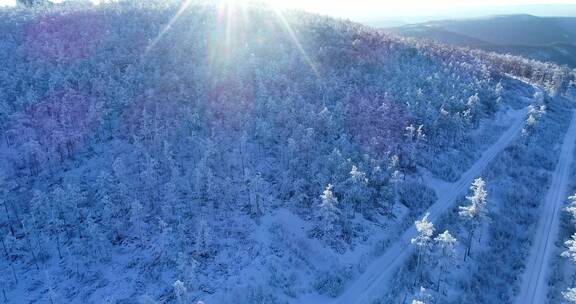 内蒙古大兴安岭冰雪雾凇 童话世界