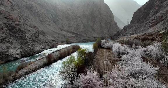（合集）新疆南疆杏花村春天风光航拍