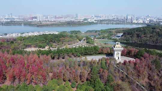 武汉江汉区藏龙岛湿地公园航拍