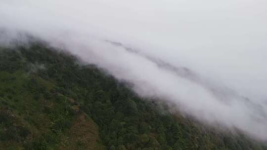 云雾爬到山顶过山雾