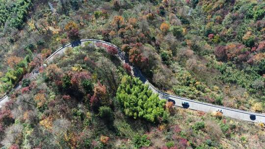 宁波四明山山路4K航拍