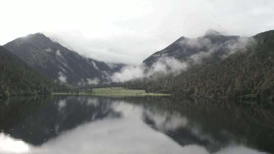 4k超清川西高原航拍湖泊牧场山谷牛群马匹