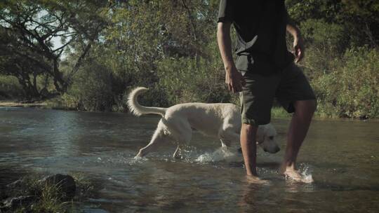 一名男子带着他的狗在森林的一条小溪里散步