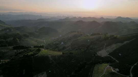 广西桂林阳朔百里金桔种植基地航拍