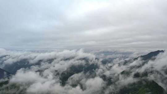 大雾清晨云雾大山云海森林自然云山脉山区