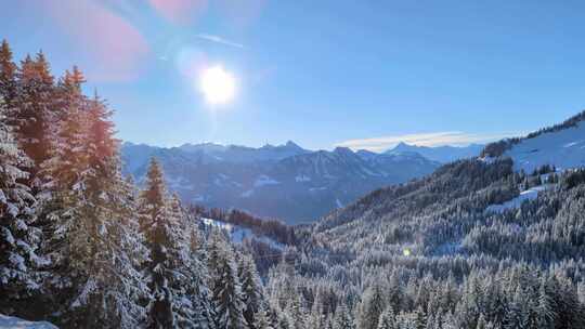 晴朗冬日雪中的瑞士阿尔卑斯山