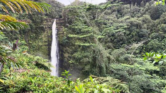 拍摄夏威夷的Hi'ilawe瀑布。