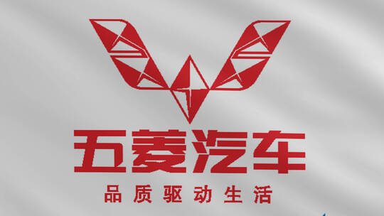 五菱汽车旗帜标志logo带通道