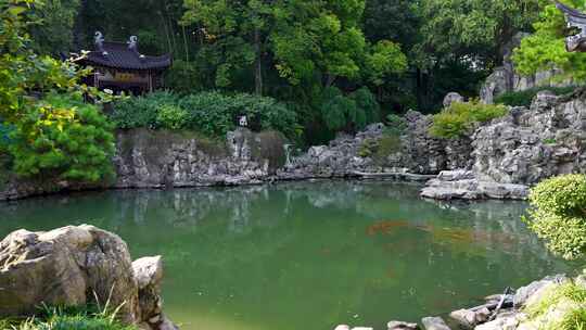 江南古典园林，南京瞻园庭院池塘里的锦鲤