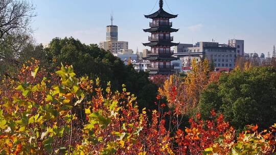 上海秋天 嘉定古塔 嘉定地标