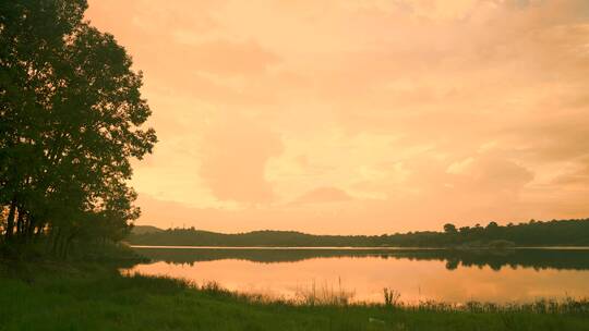 金黄的夕阳下，湖泊草原树林旁火烧云延时