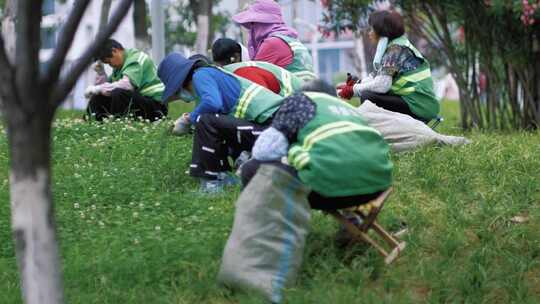 (合辑)蜀山园林管养工人除草修剪