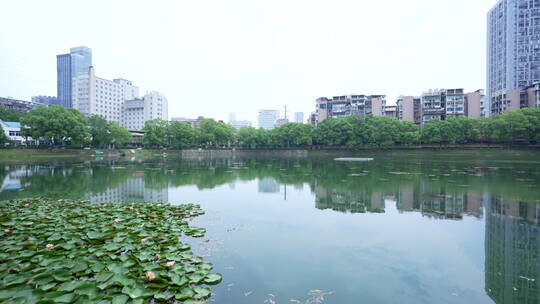 武汉汉口宝岛公园风景