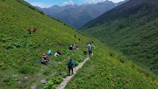 4K巴郎山花海户外徒步航拍合集