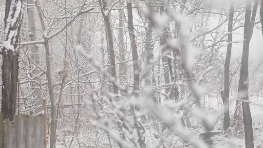 下雪场景