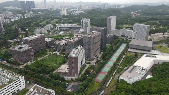 西丽大学城 南方科技大学