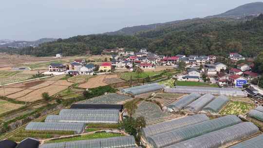 新农村发展农业种植大棚航拍