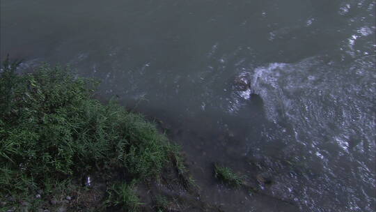 旅游景区 下雨时的都江堰湍急水流 水涡