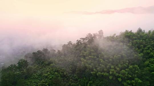 清晨大雾中的湖州安吉山区乡村航拍