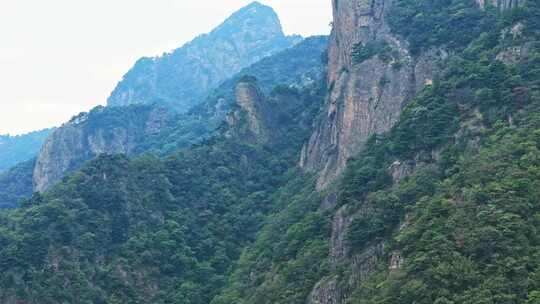 大山绿色树林森林雨林航拍