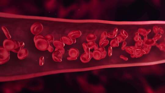 静脉中的红细胞视频素材模板下载