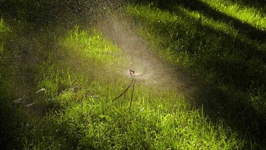 阳光下公园草坪上的浇灌系统